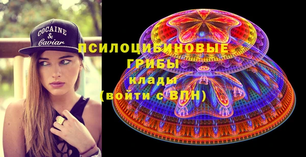 мяу мяу мука Надым