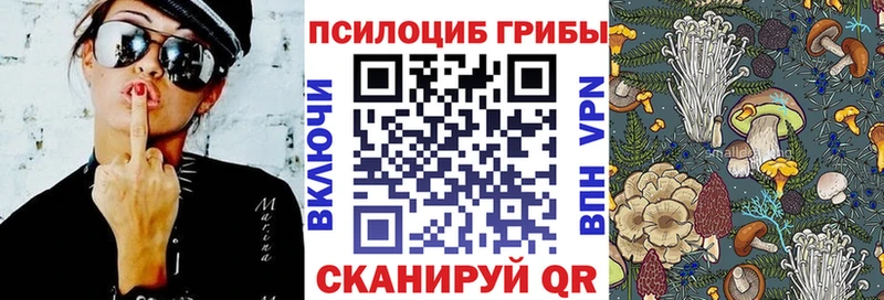 Галлюциногенные грибы мухоморы  купить  цена  Сергач 